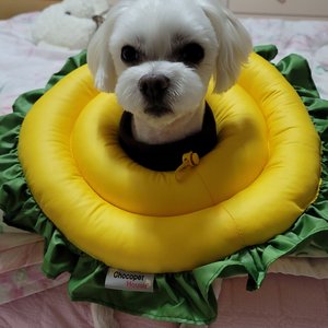 베스트 후기 이미지