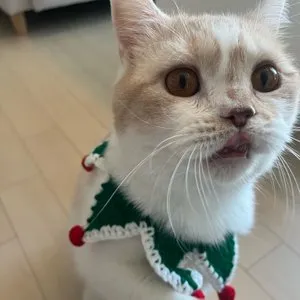 베스트 후기 이미지