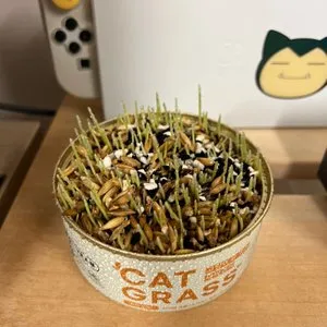 베스트 후기 이미지