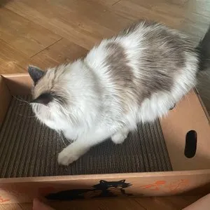 베스트 후기 이미지