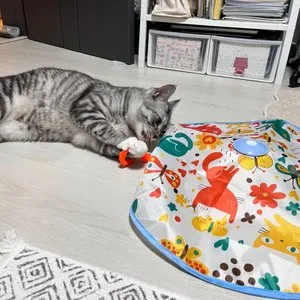 베스트 후기 이미지