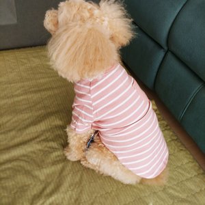 베스트 후기 이미지