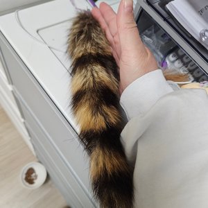 베스트 후기 이미지