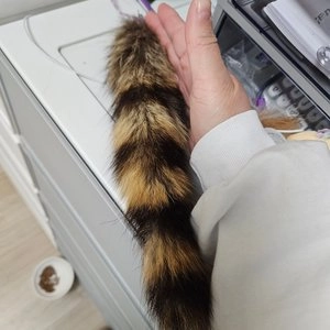 [무료배송] 네이처펫 냥냥이 2단 깃털 원목 낚시대 + 3단 밍크 낚시대 베스트 후기 이미지