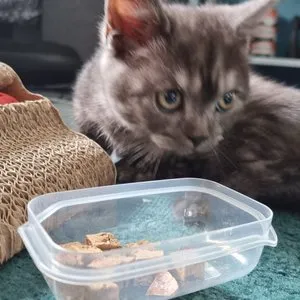 베스트 후기 이미지