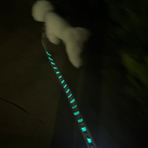 베스트 후기 이미지