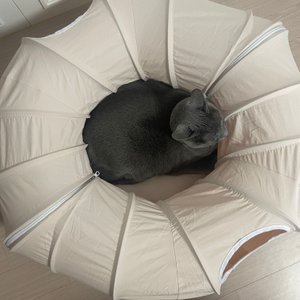 베스트 후기 이미지