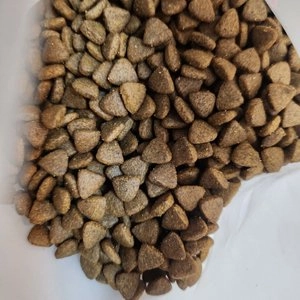 [사료샘플] 인디고 에이지뉴트리션 어덜트 10+ 포 캣 40g 베스트 후기 이미지