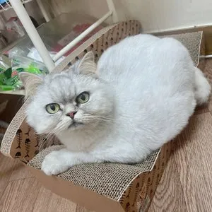 베스트 후기 이미지