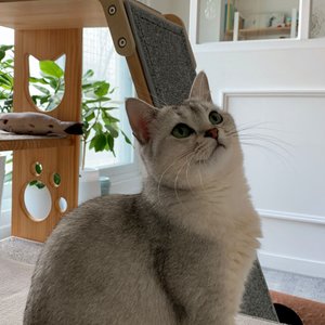 베스트 후기 이미지