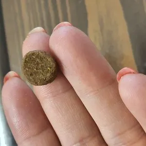 베스트 후기 이미지