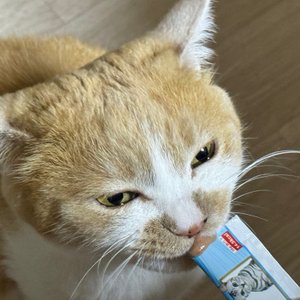 베스트 후기 이미지