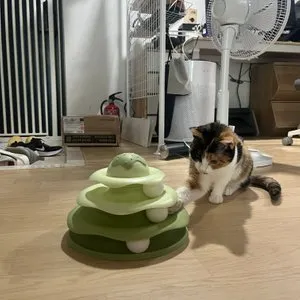 베스트 후기 이미지