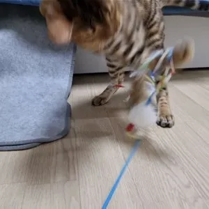 베스트 후기 이미지