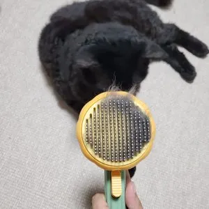 베스트 후기 이미지