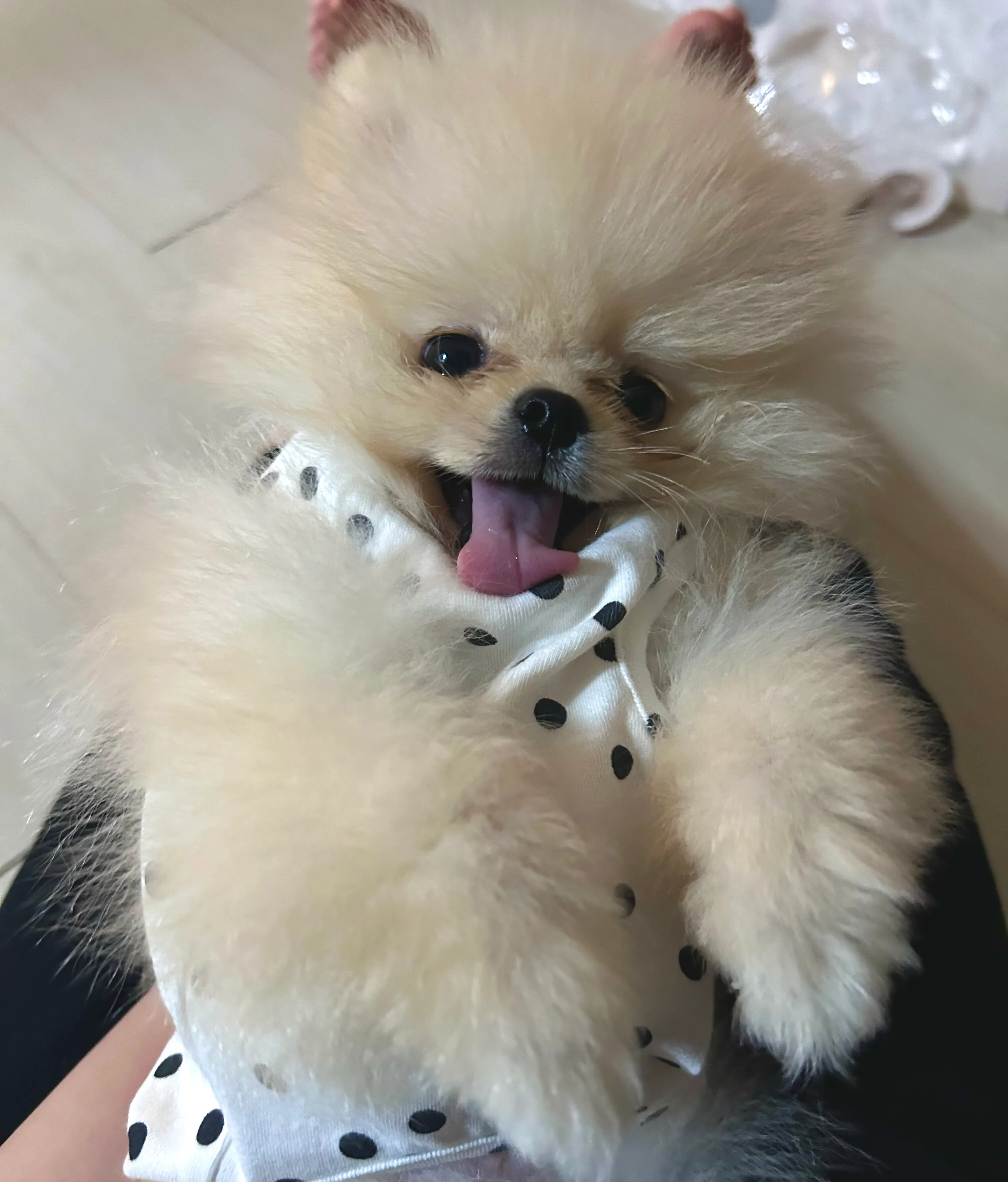 2번째 파일