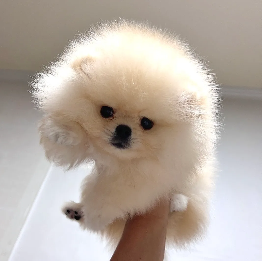 1번째 파일