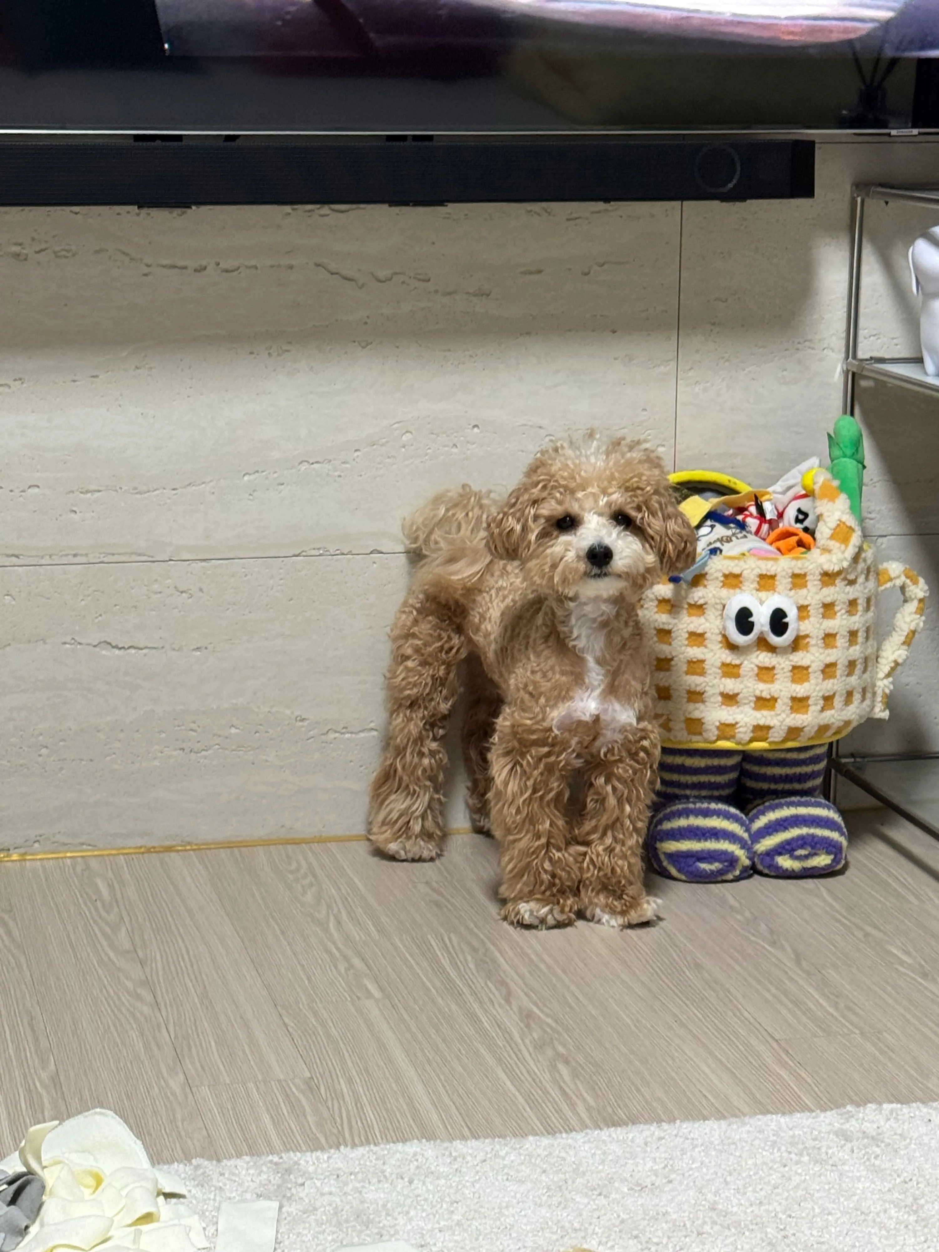 2번째 파일