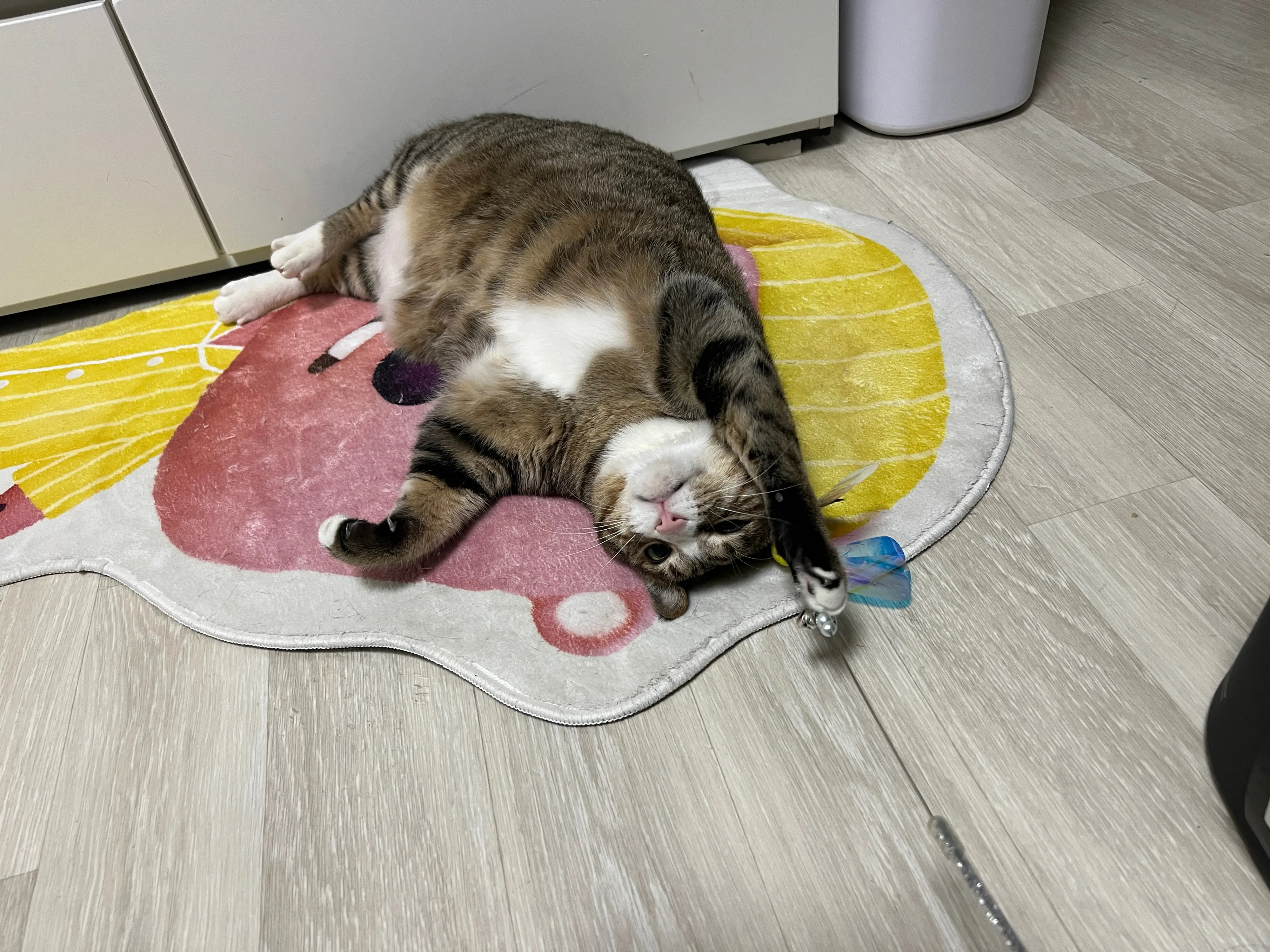 1번째 파일