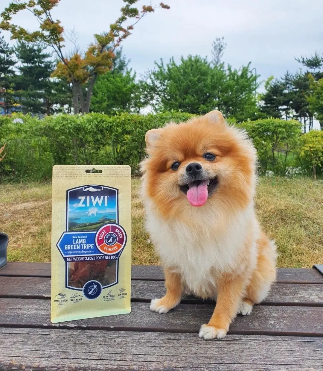 3번째 파일