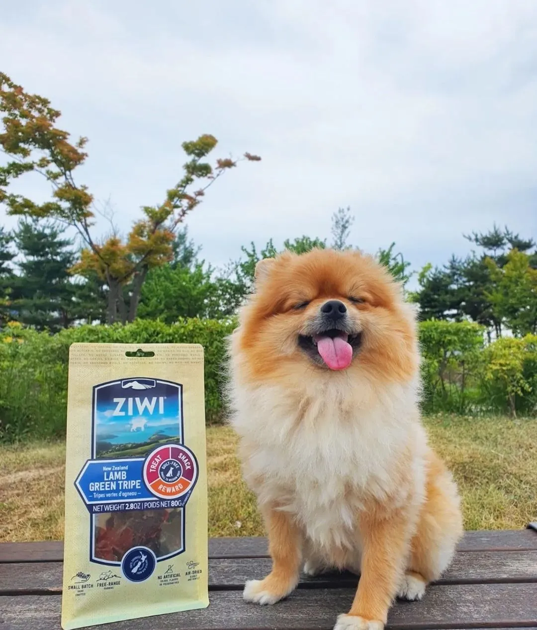 1번째 파일