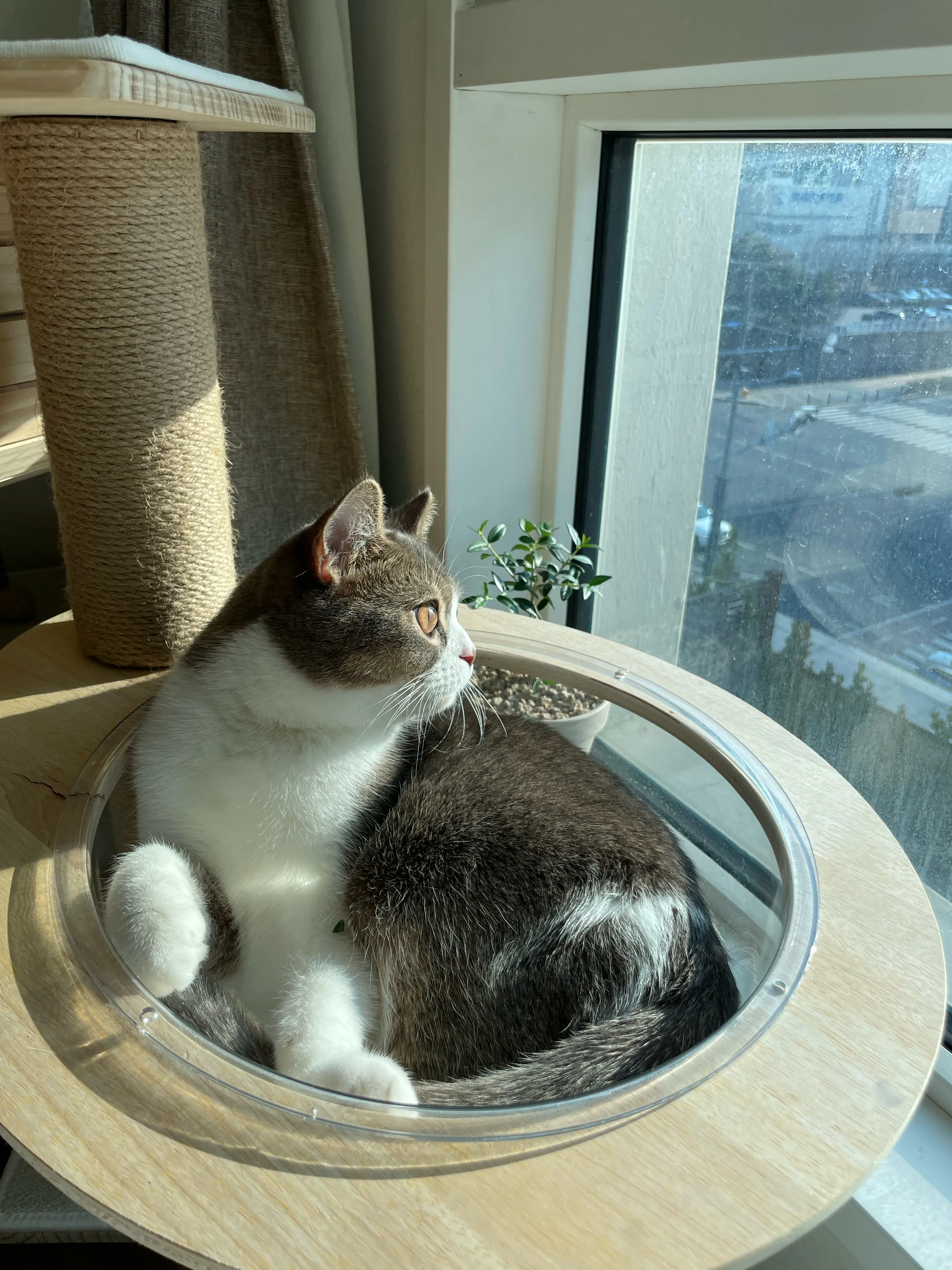 4번째 파일