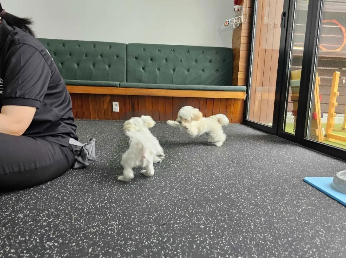 4번째 파일