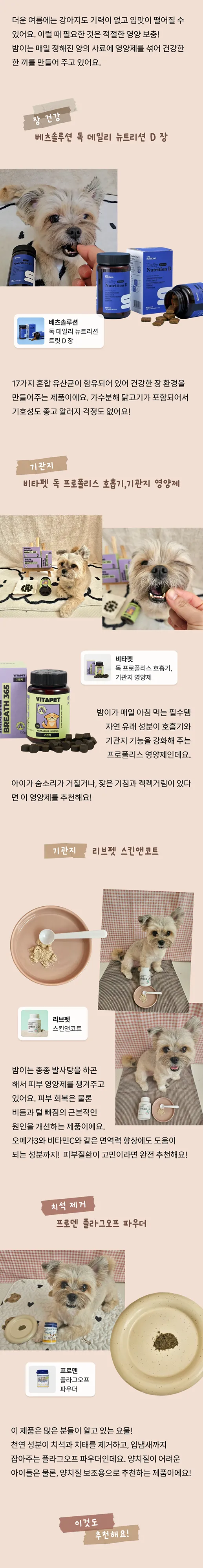 2번째 파일