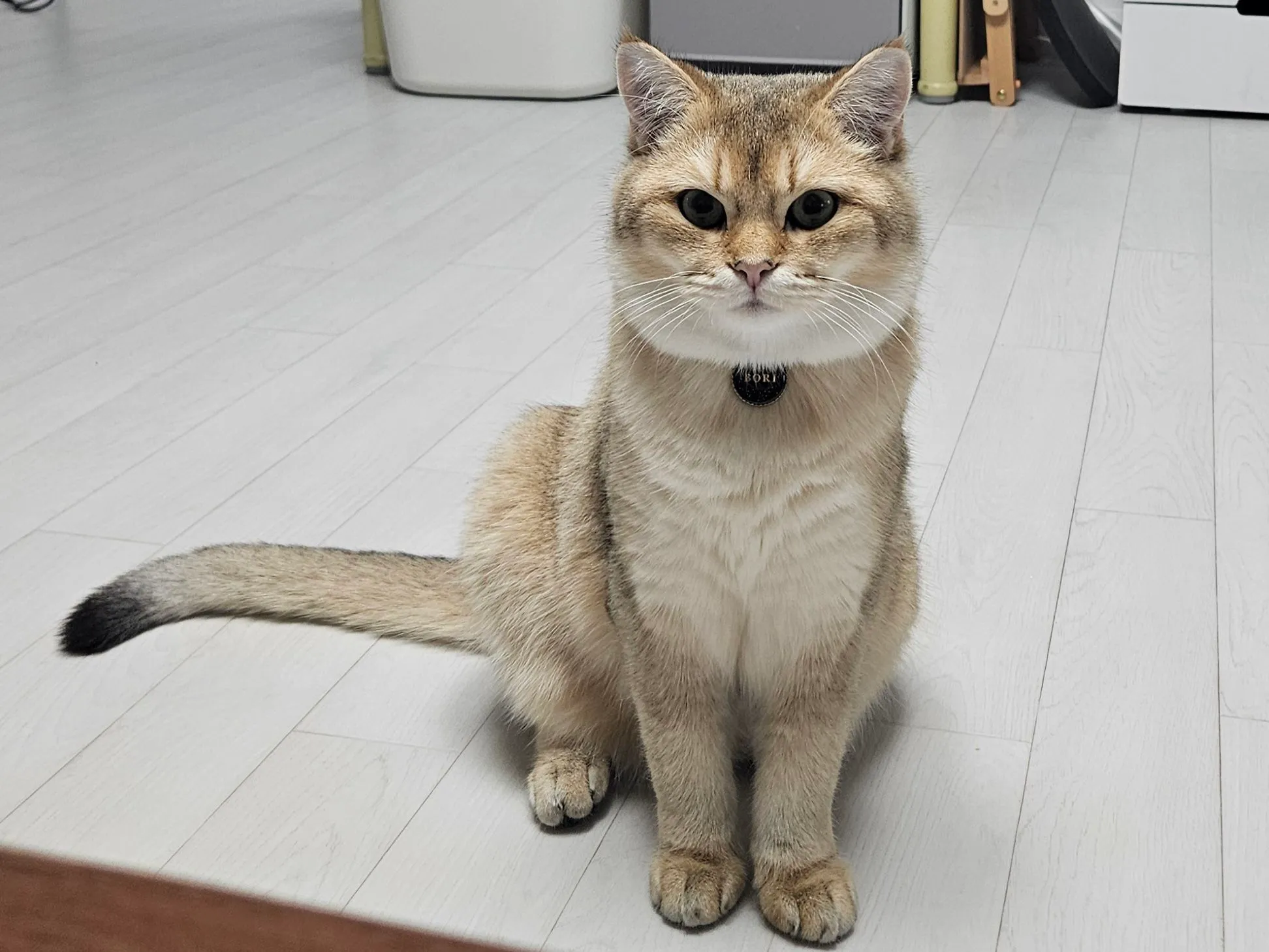 1번째 파일