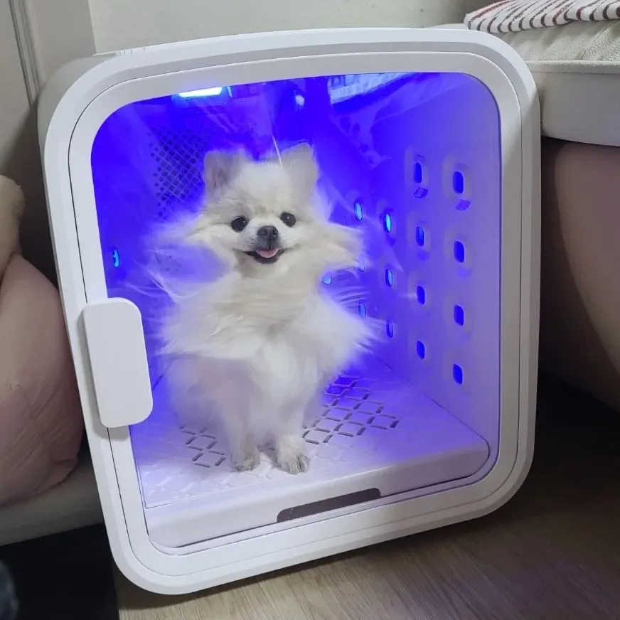 1번째 파일