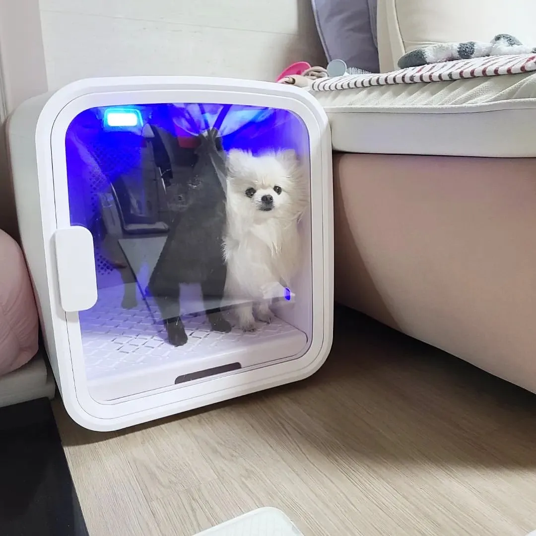 3번째 파일