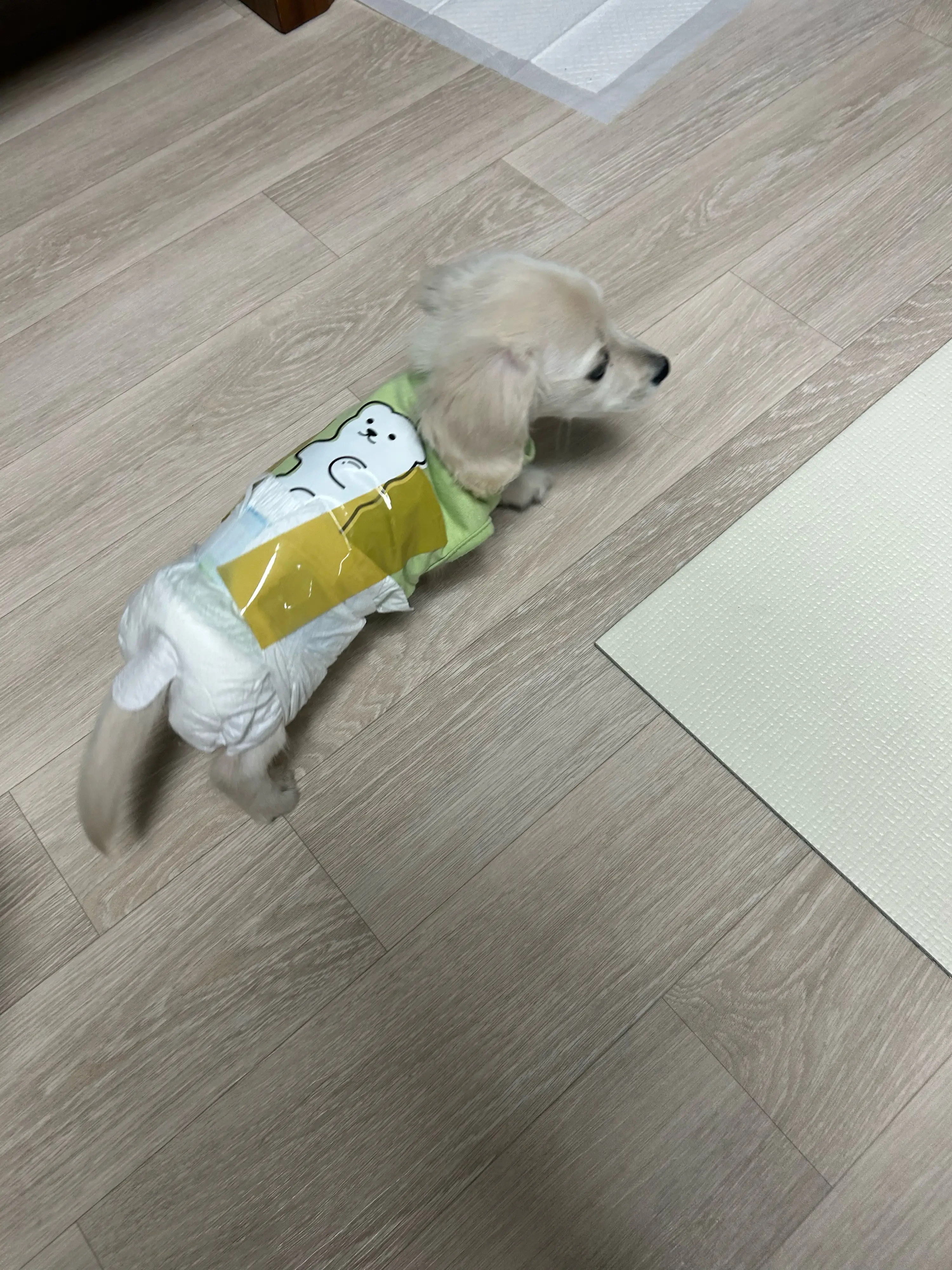 1번째 파일