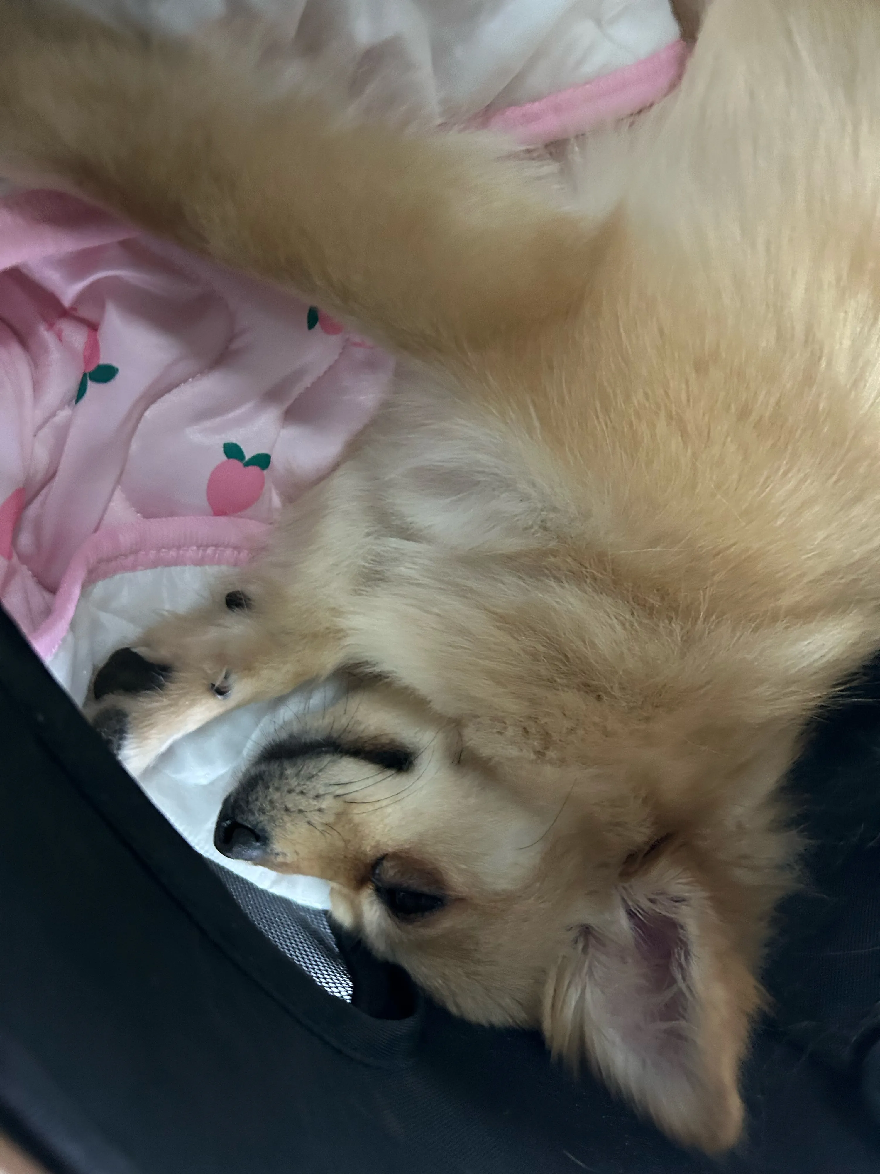 2번째 파일
