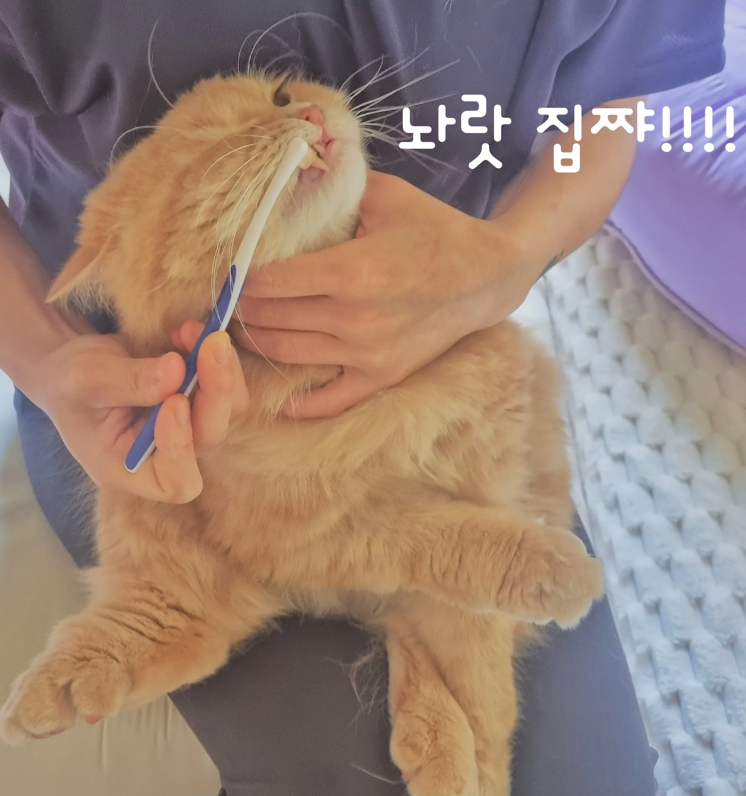 1번째 파일