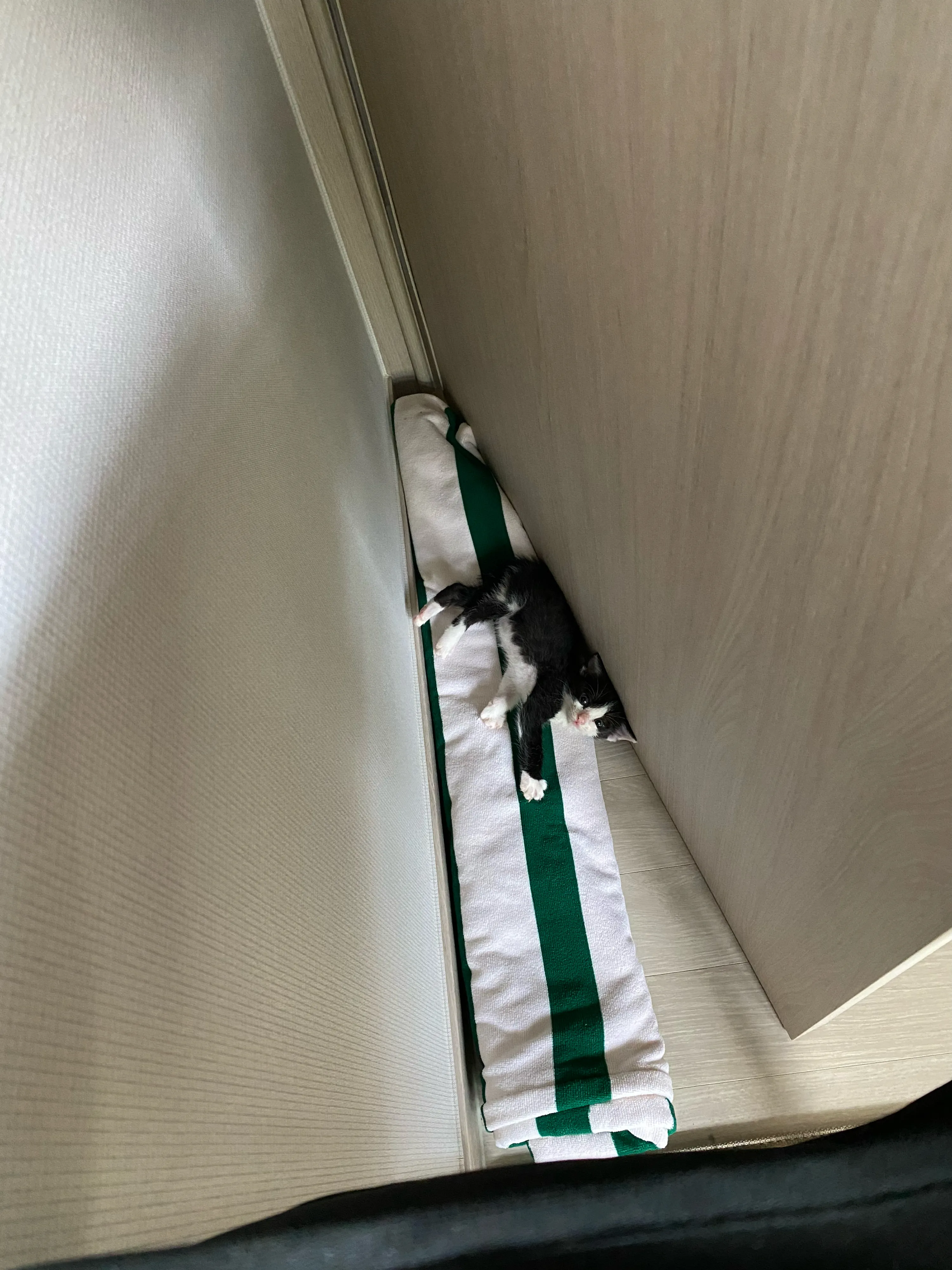 1번째 파일