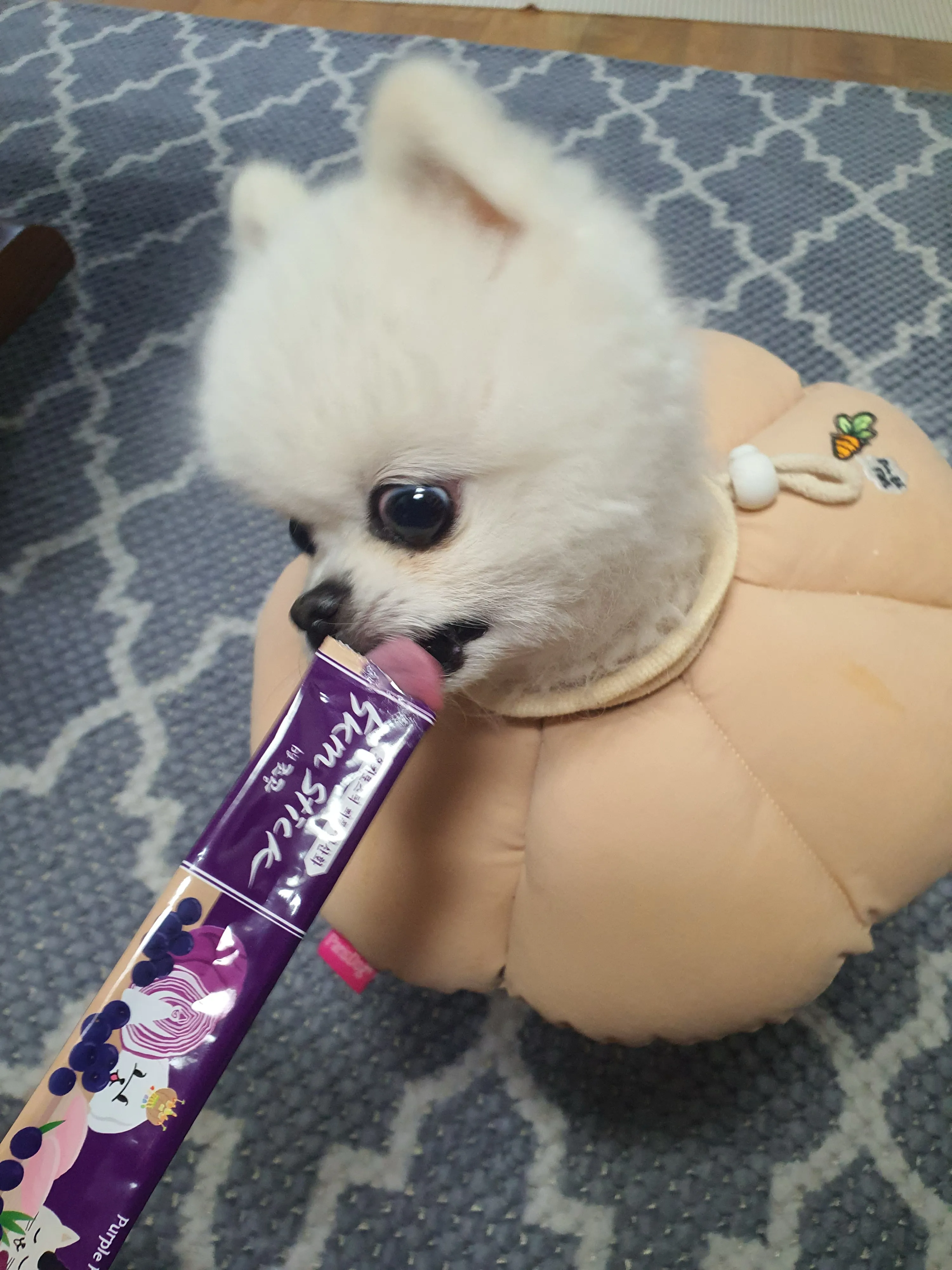2번째 파일