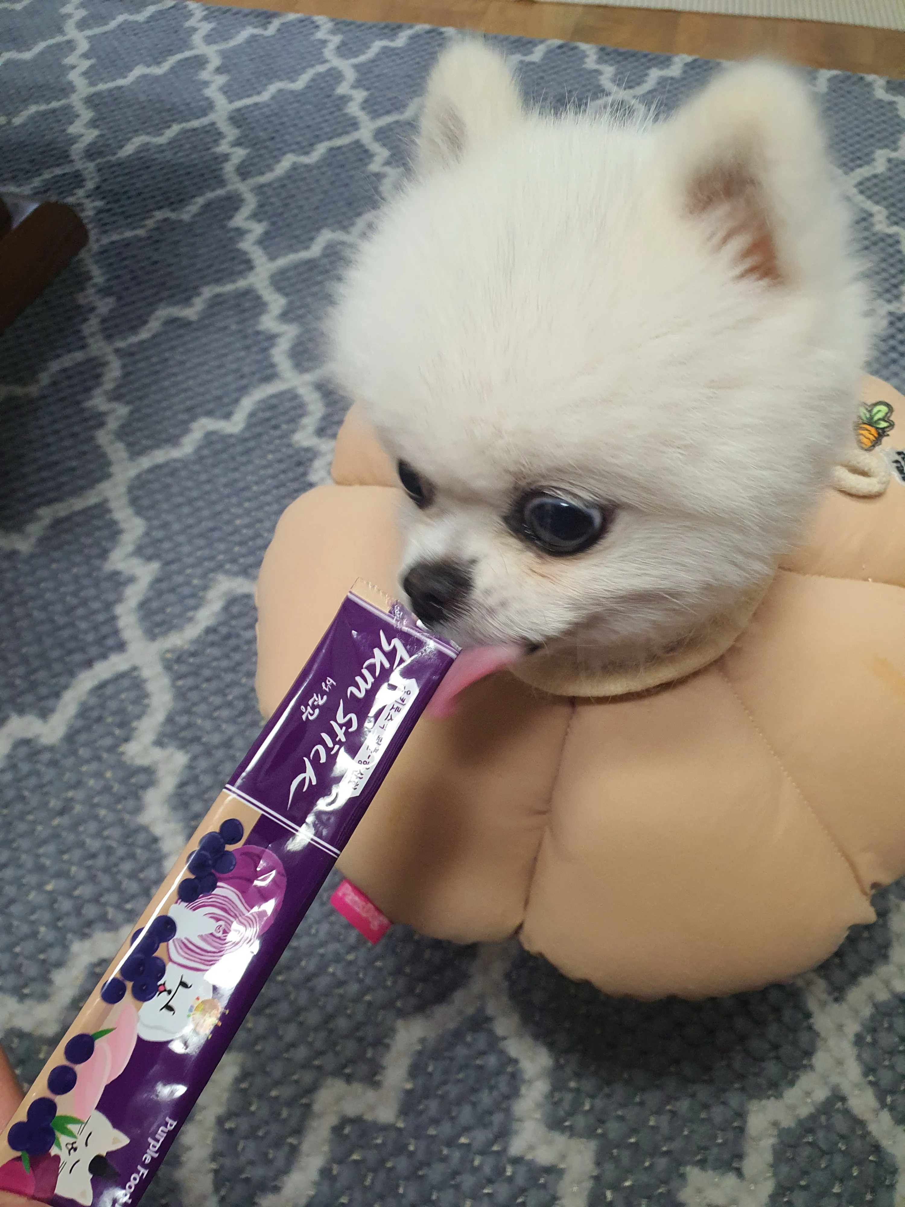 1번째 파일
