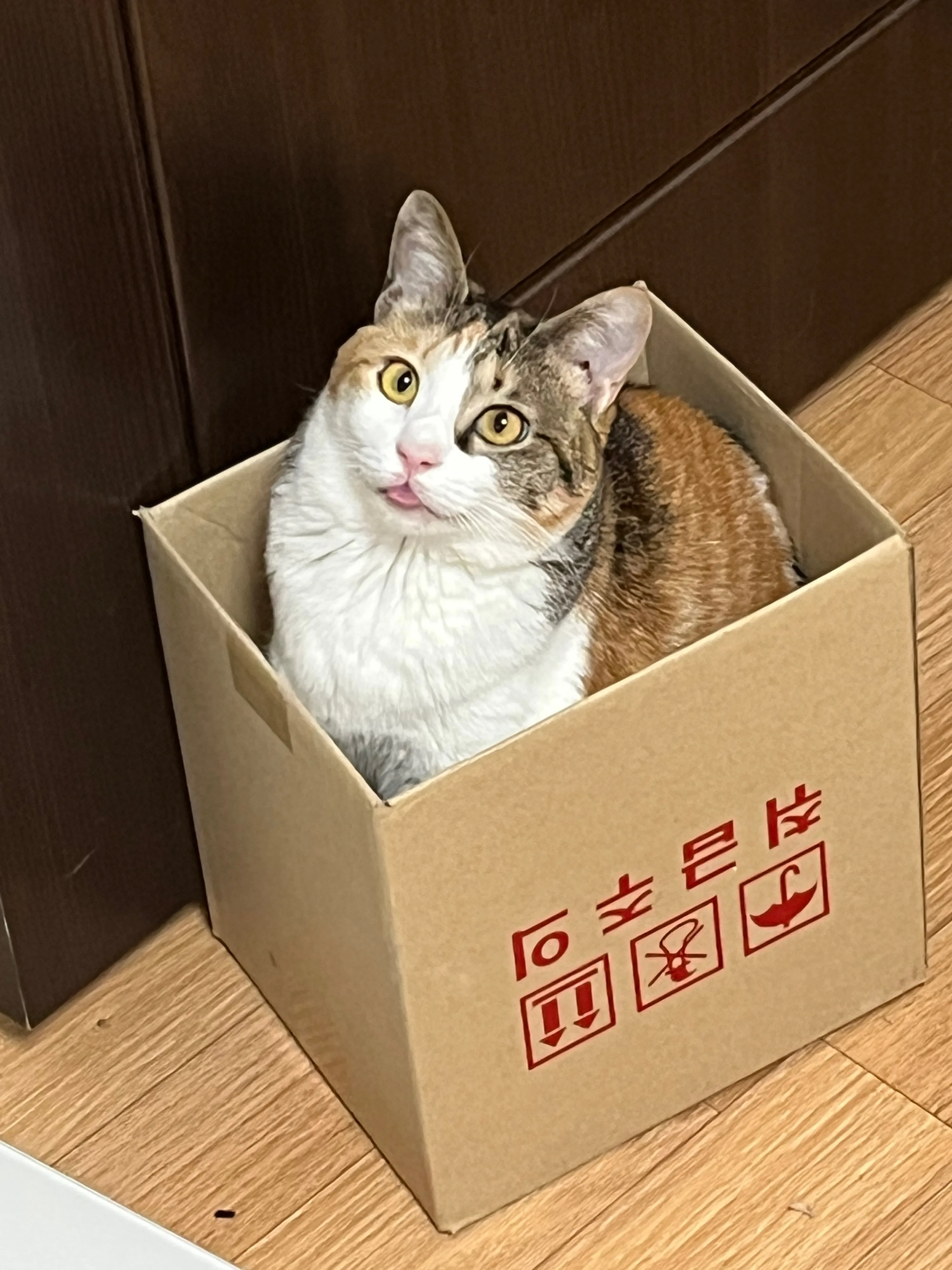 1번째 파일