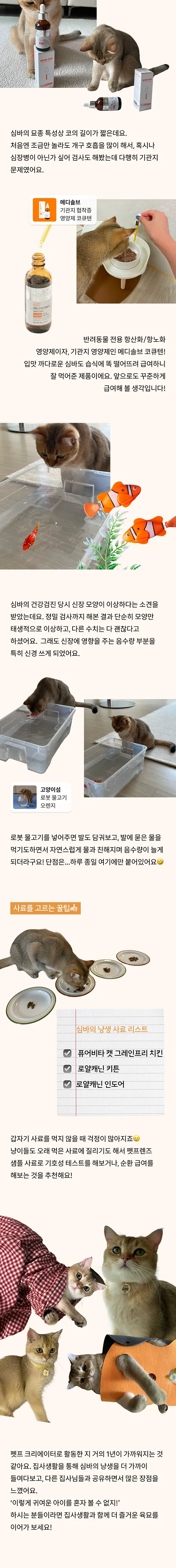 4번째 파일