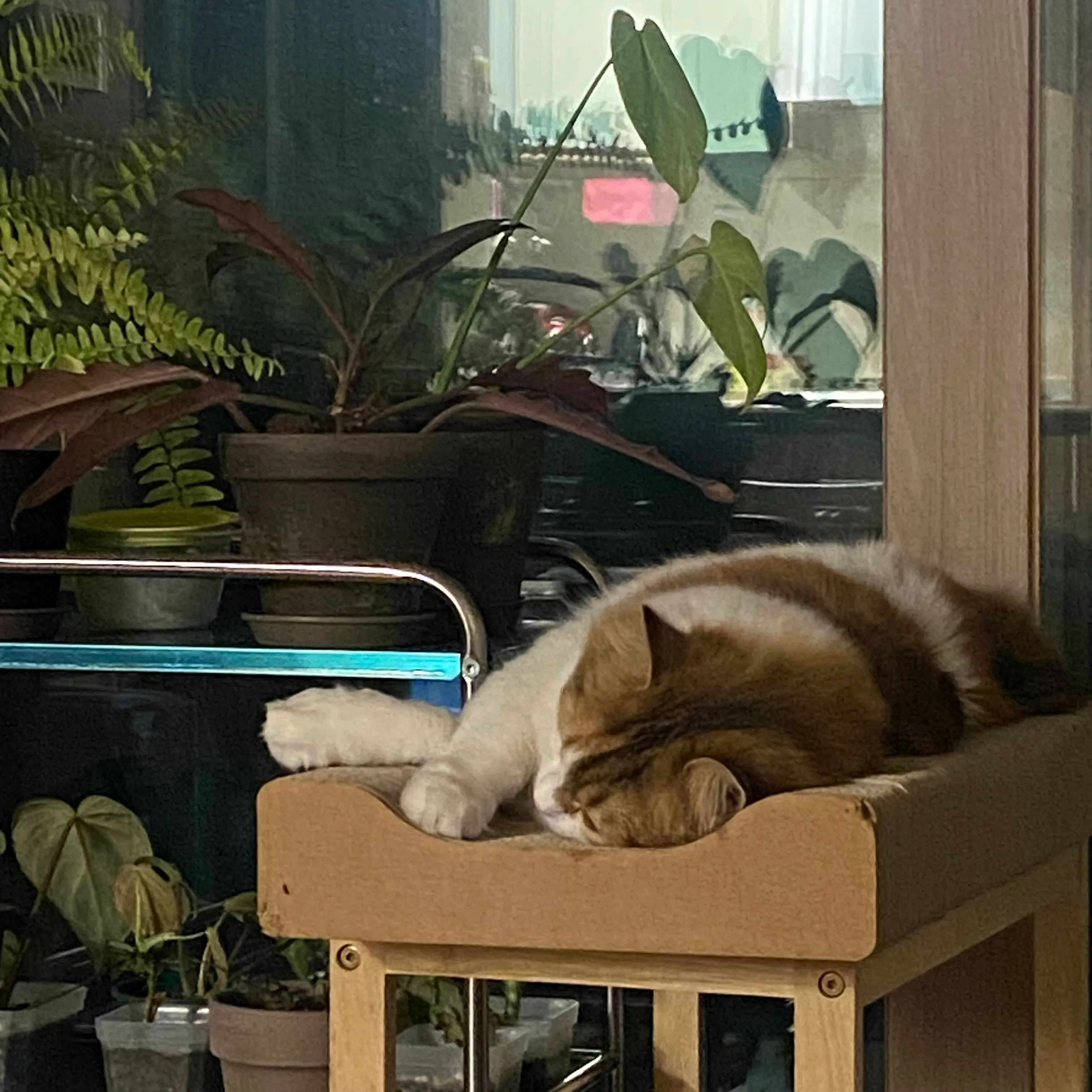 2번째 파일