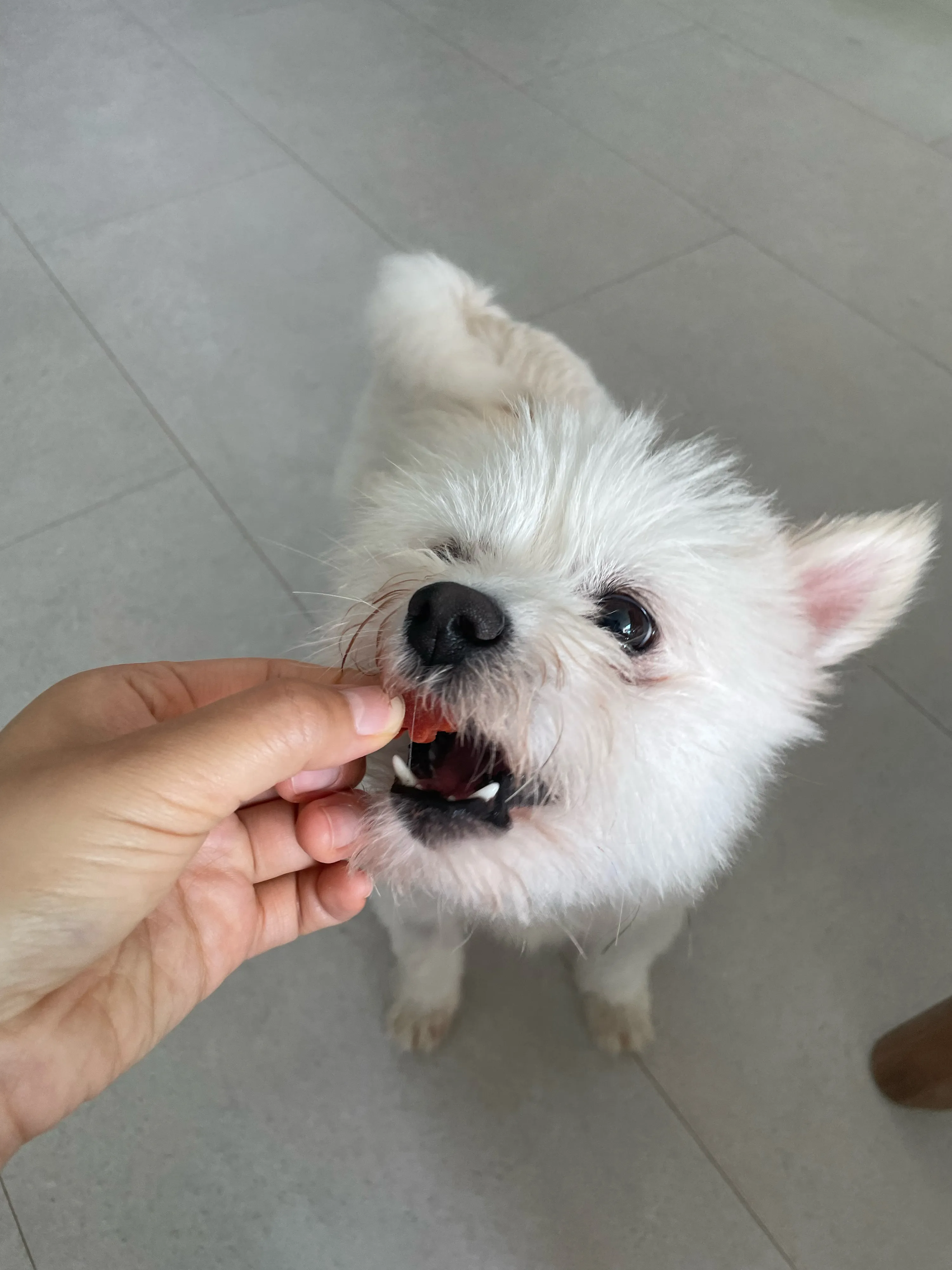 4번째 파일