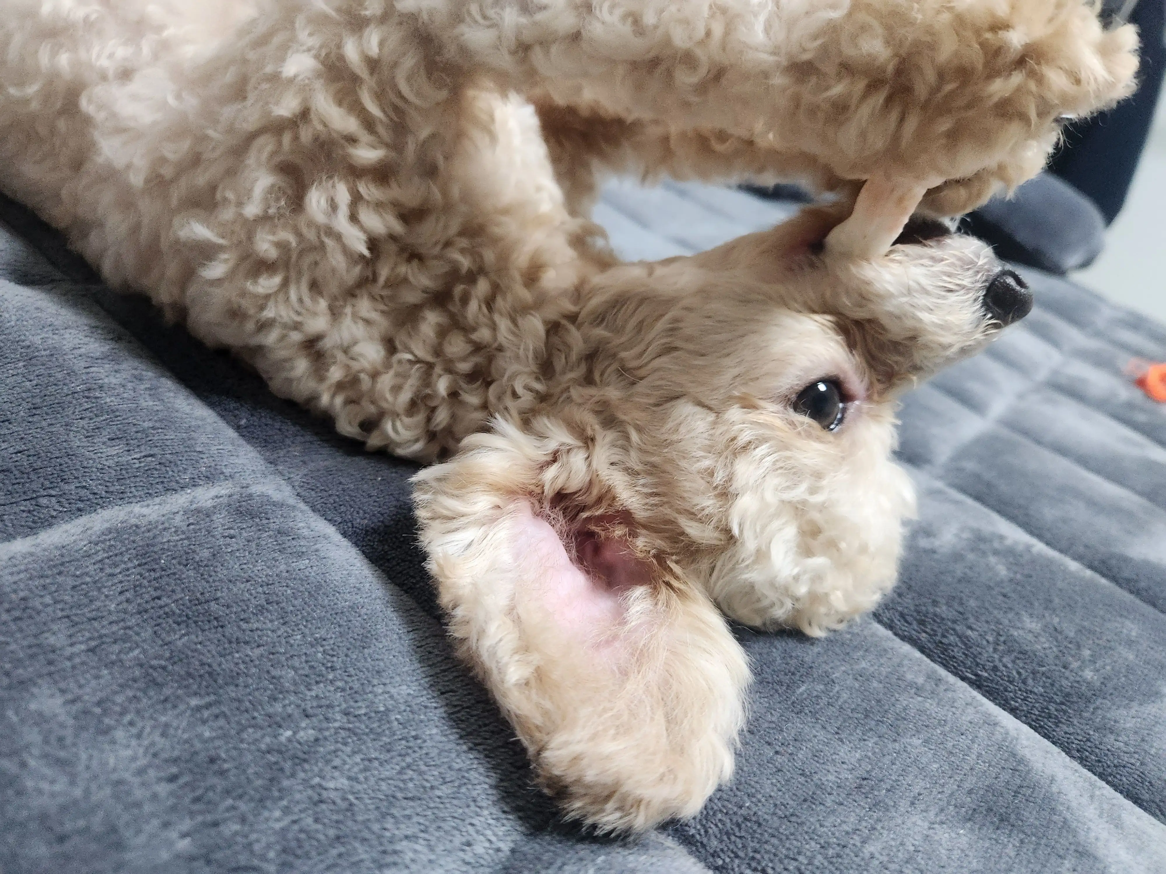 2번째 파일