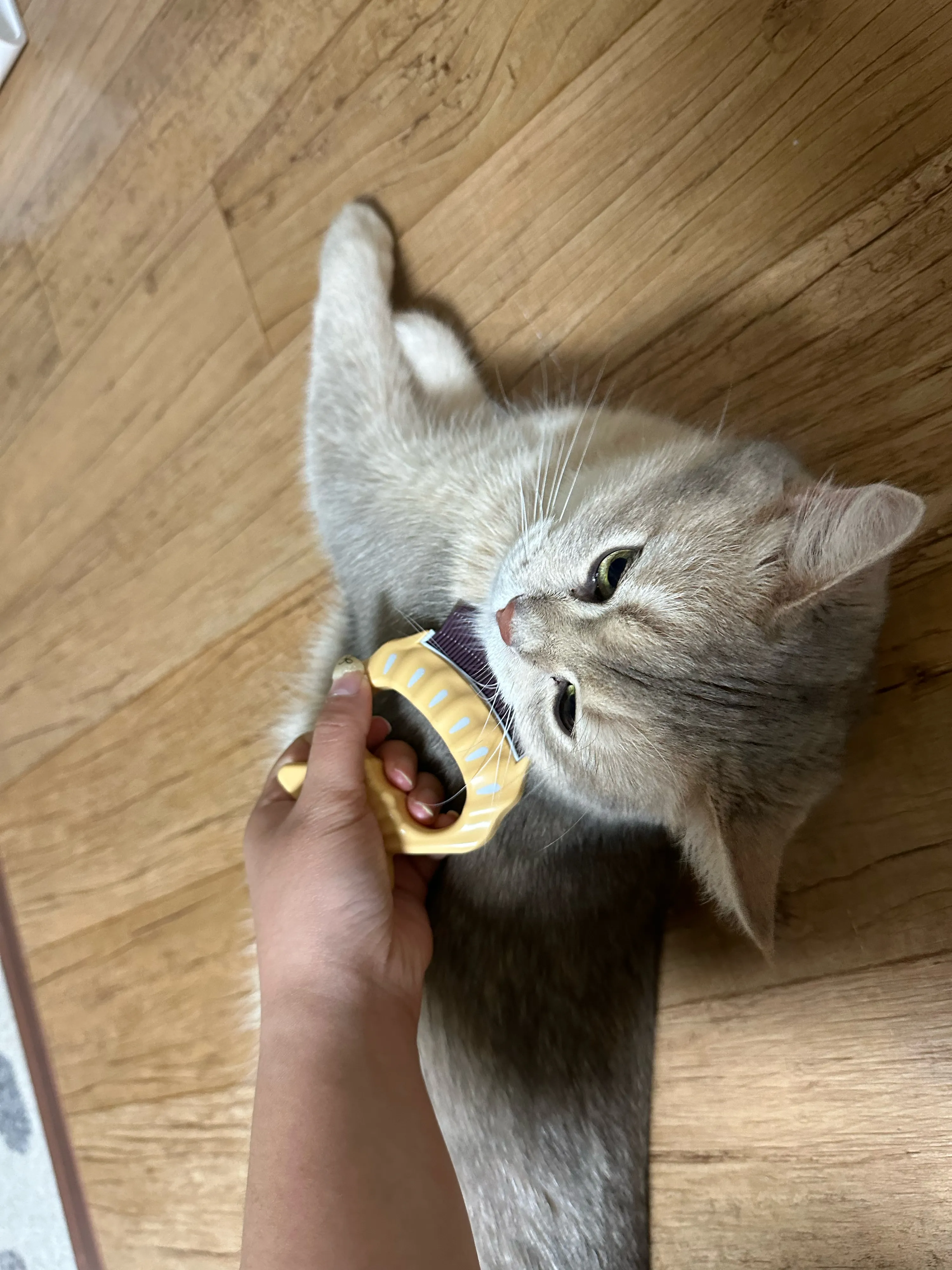 1번째 파일