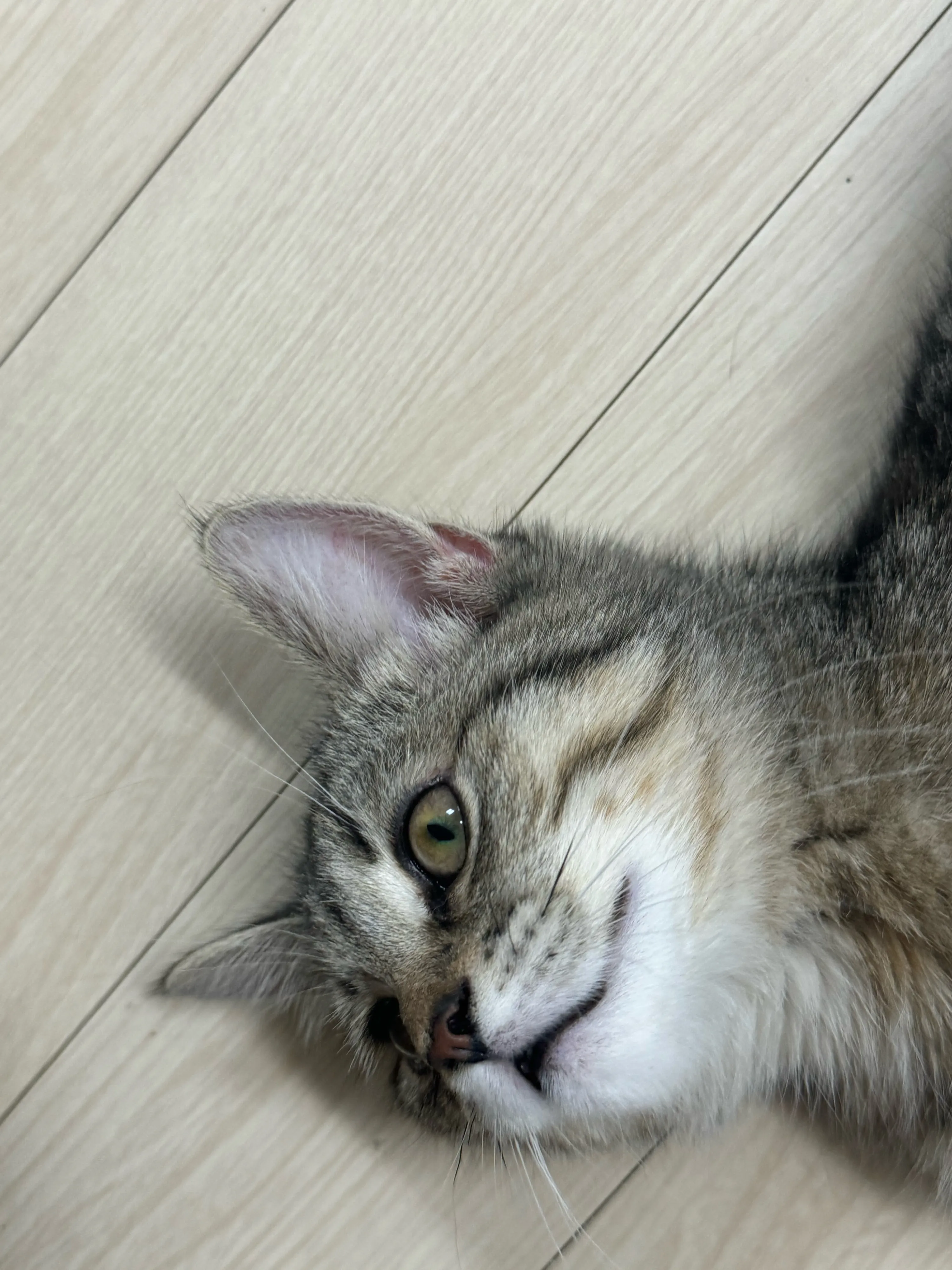 4번째 파일