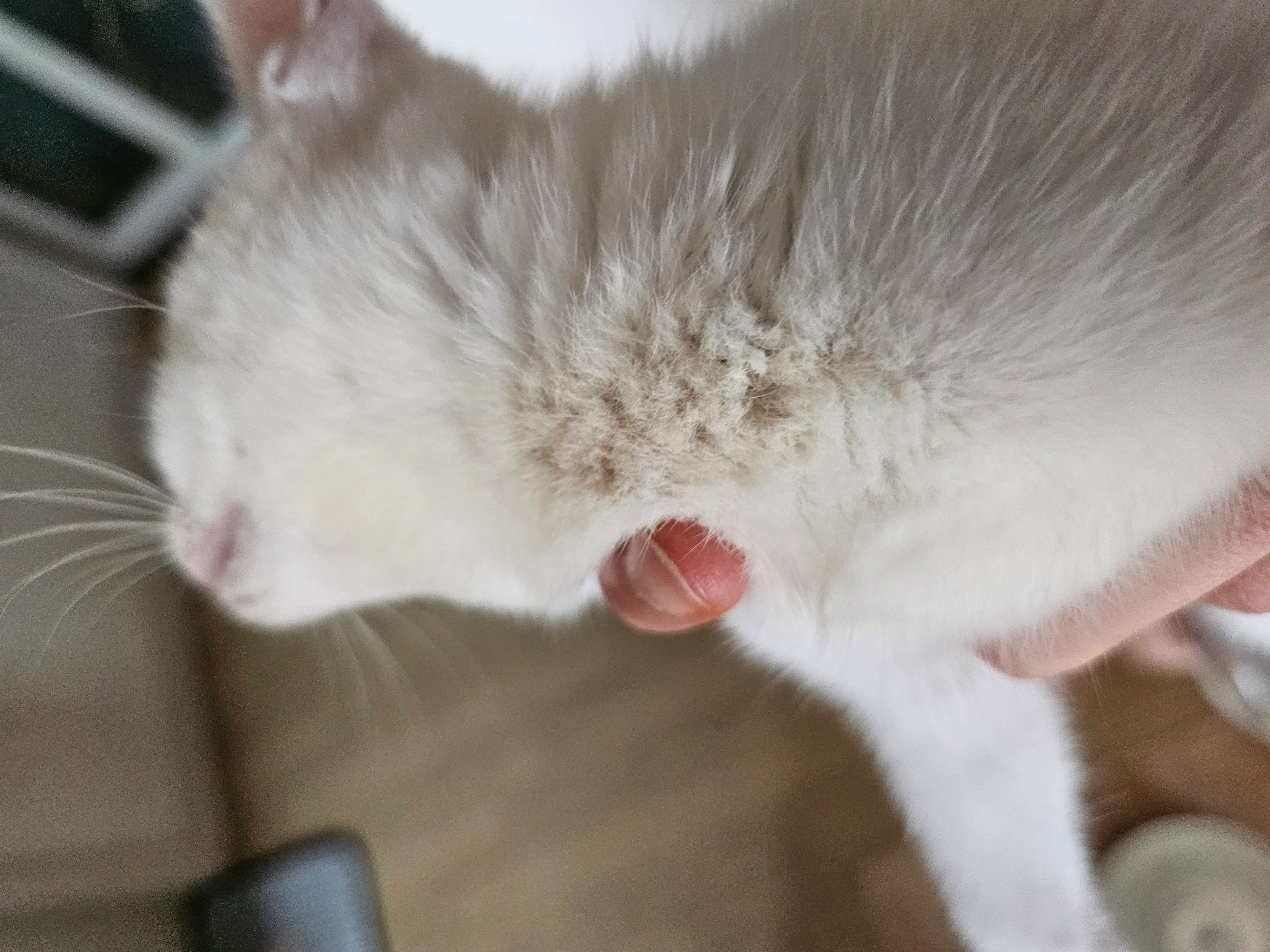 2번째 파일