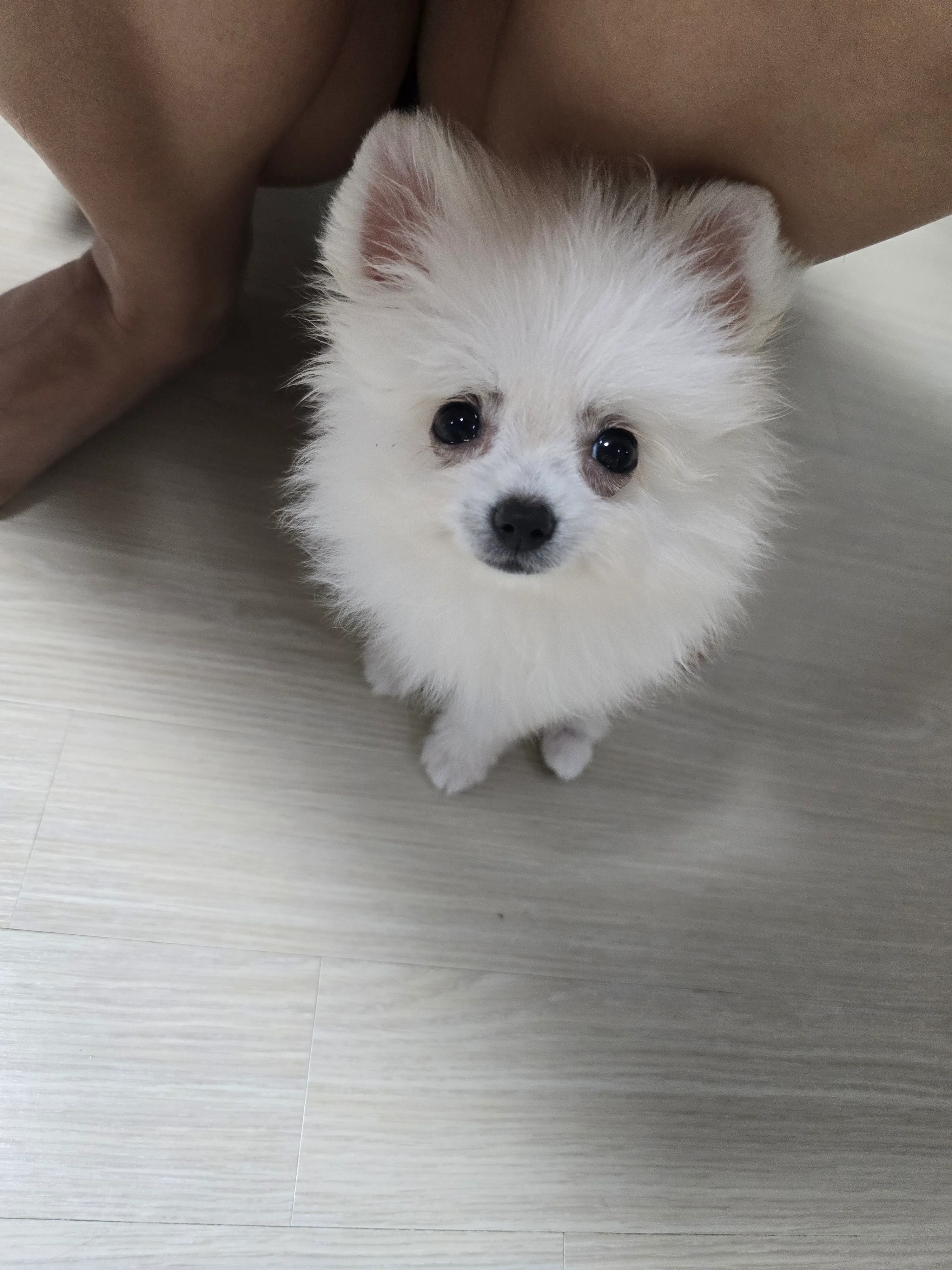 4번째 파일