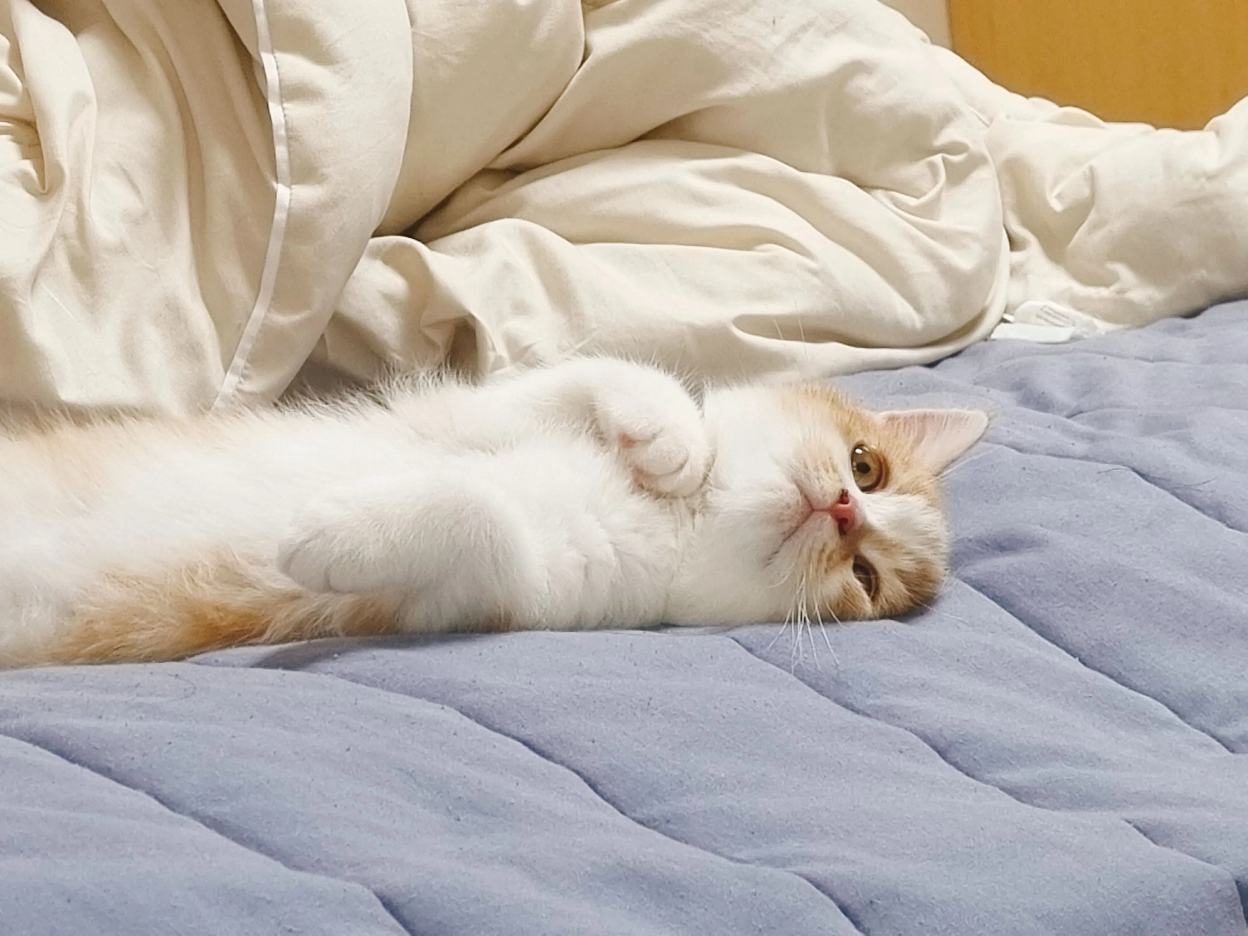 1번째 파일
