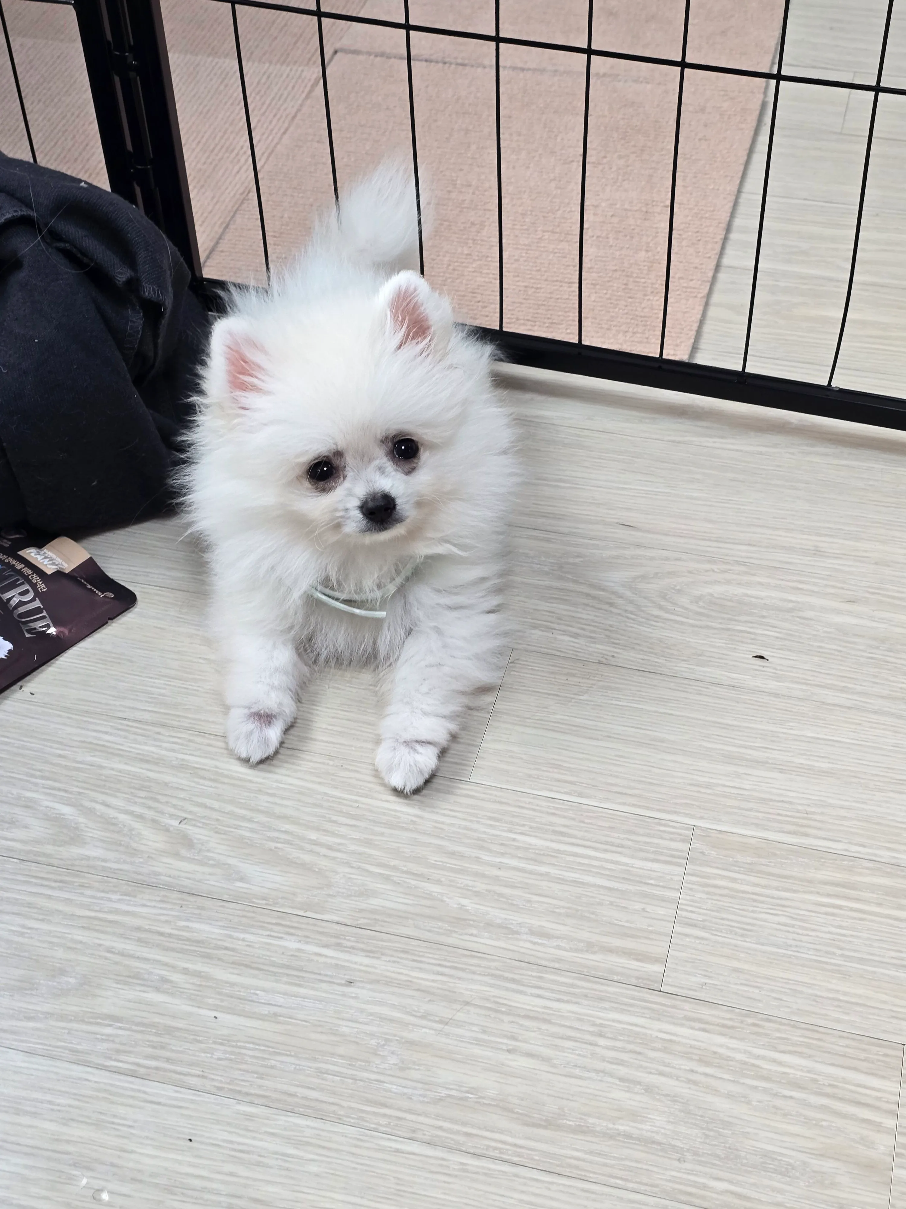 2번째 파일
