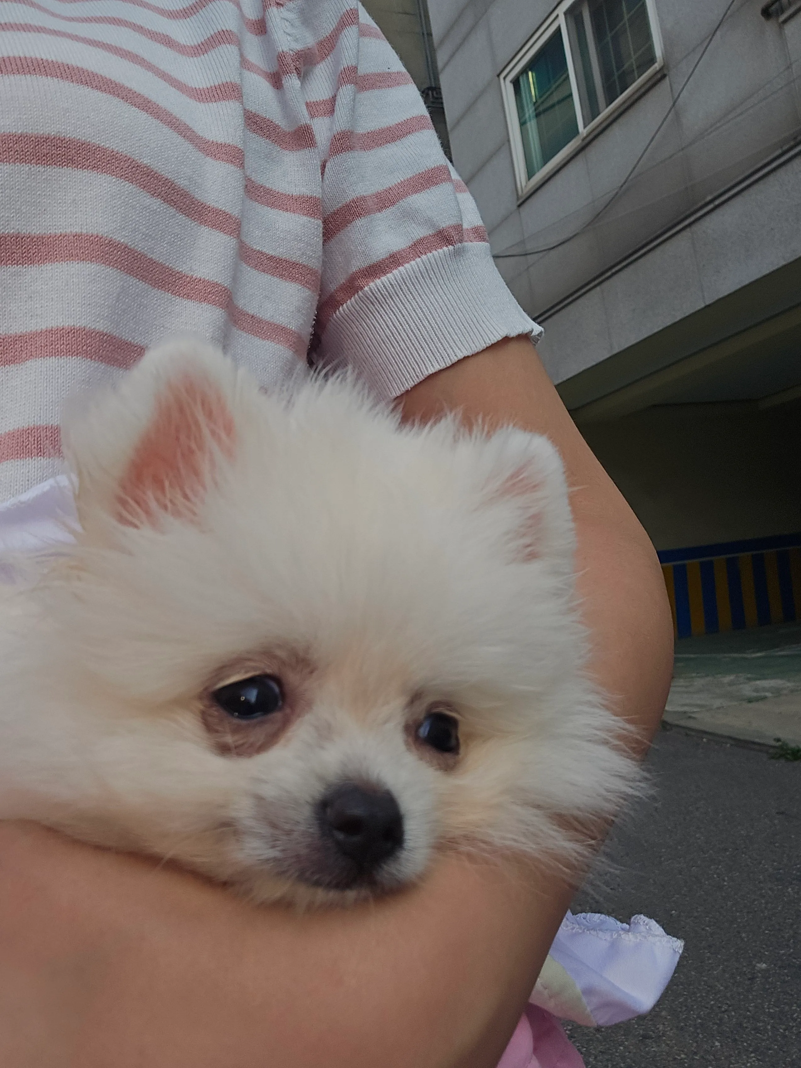 1번째 파일