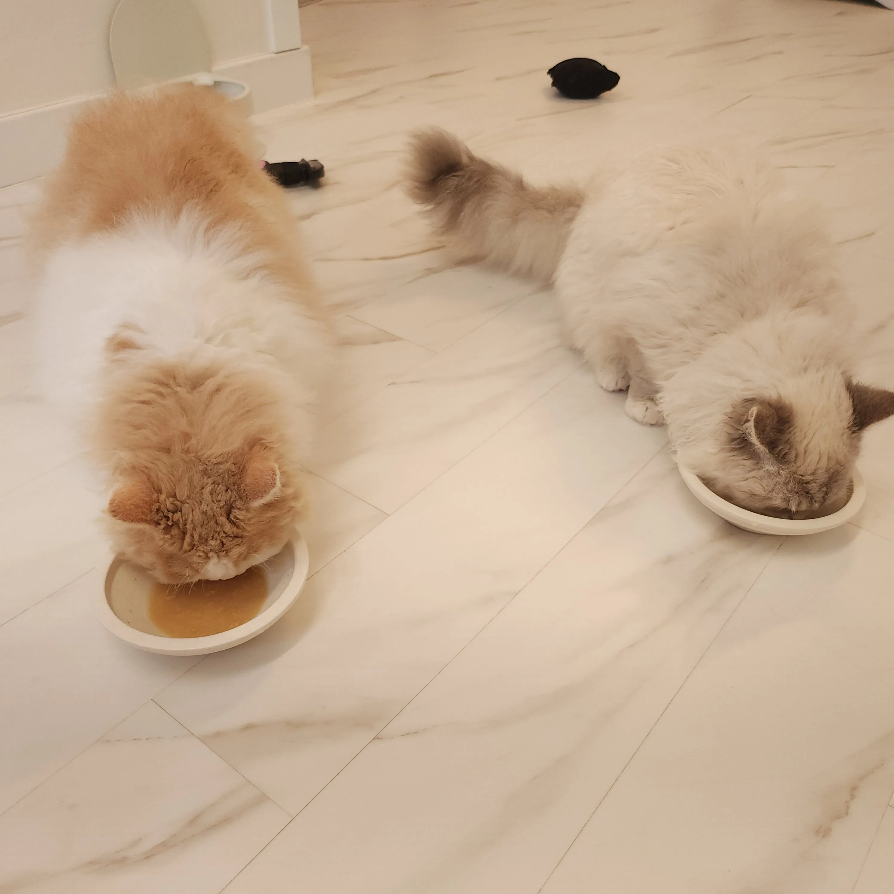 3번째 파일